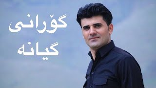 بەرهەم شەمامی ئەو گۆرانییەی تیکتۆکی هەژاند گیانە  Barham Shamami Gorani Geyana [upl. by Kleeman]