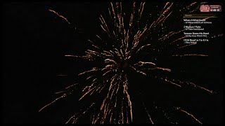 07042024 EsfandTV  JULY 4TH FIREWORKS STREAM [upl. by Dumond]