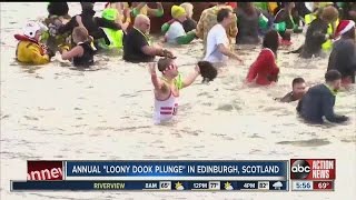 Annual quotLoony Dook Plungequot [upl. by Teresa23]