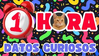 1 HORA de DATOS CURIOSOS y COSAS QUE NO SABÍAS ⏰🧠 04 Pancho Curioso [upl. by Hnim]