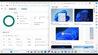 How wazuh agent add windows 11 Install wazuh agent on windows [upl. by Bennink]