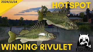 Ruffe Hotspot Winding Rivulet Russian fishing 4 [upl. by Pesek]