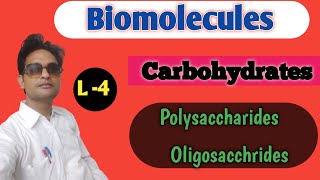 Carbohydrates  polysaccharides  Biomolecules ch9 [upl. by Aubreir]