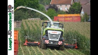 Ensilage de Maïs 2017  NEW Claas Jaguar 950 amp Kemper 375 Plus [upl. by Kinnie]