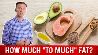 What is quotToo Muchquot Fat on Keto ketogenic diet – Dr Berg [upl. by Akinit]