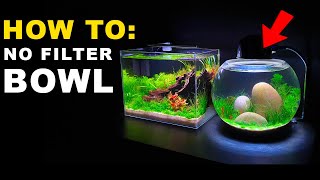 HOW TO NO FILTER BOWL AQUARIUM SETUP  MD FISH TANKS [upl. by Terrab]