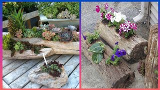 Whimsical amp Eye  Catching Garden Wood Log Planter Ideas  Garden Decor Hacks [upl. by Nerin]