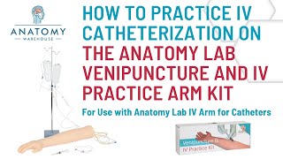 Practicing IV Catheterization w the Anatomy Lab Venipuncture amp IV Practice Arm Kit amp Simulation Arm [upl. by Clarinda]