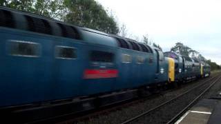 Deltics From The Deltic 50 Event At Shildon [upl. by Etnoved]