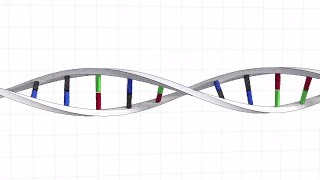 Building a human genome from scratch [upl. by Nnylimaj]