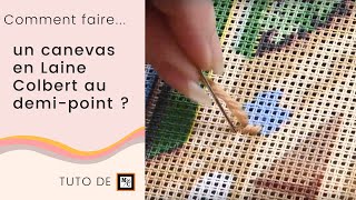 🎥 Comment faire un canevas en Laine Colbert au demipoint   Tuto La Maison du Canevas [upl. by Tanhya567]