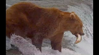 01 Oct 2024 907 with fish at the falls exploreorg [upl. by Seiuqram]