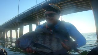 Fishing Virginia Beach [upl. by Eekcaj]