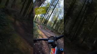 Flow trail at Cannock Chase [upl. by Robby]