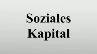 Soziales Kapital [upl. by Swanhilda]