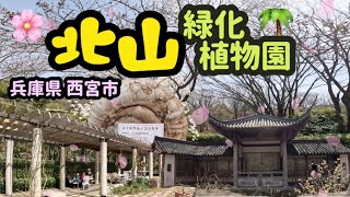 北山緑化植物園【兵庫県 西宮市】🌳緑と花に溢れる植物園！園内には、緑の相談所、北山山荘、展示温室、植物生産研究センター、北山墨華亭 などがあります！ [upl. by Ellison]