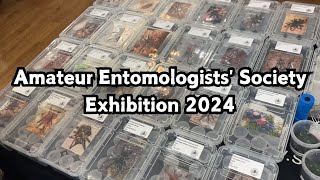 Invertebrate  Bug Show Tour  Amateur Entomologists Society Exhibition 2024  Spooderpods [upl. by Ideih]