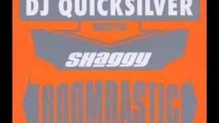 Dj Quicksilver Meets Shaggy  Boombastic Epic Mix [upl. by Mellicent]