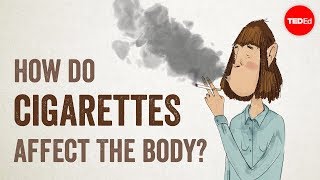 How do cigarettes affect the body  Krishna Sudhir [upl. by Cati]