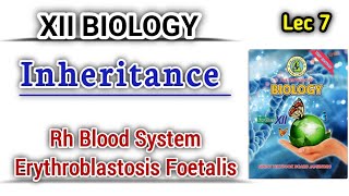 Rh Blood System and Erythroblastosis Foetalis lec 7 inheritance class 12 [upl. by Eilis]