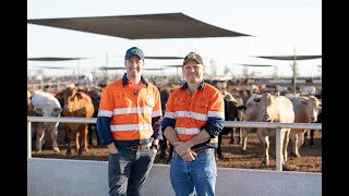 Australias Largest Beef Feedlot with Mort amp Co  This is Aussie Ag [upl. by Yesnnyl]