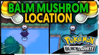 WHERE TO FIND THE BALM MUSHROOM ON POKEMON BLACK AND WHITE [upl. by Annuahs]