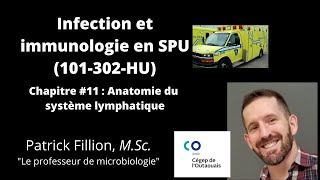 Chapitre 11 Anatomie du système lymphatique 101302HU Infection et immunologie en SPU [upl. by Fates]