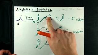 Alkylation of Enolates  Ketone  Alkyl Halide [upl. by Amann936]