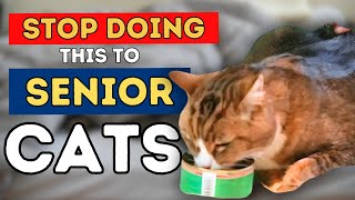 Dr Jones Top 7 Tips to a Healthy and Long Lived Senior Cat [upl. by Annehsat]