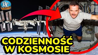 Międzynarodowa Stacja Kosmiczna ISS  jak wygląda życie astronautów [upl. by Timothea]