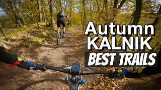 Jesenski MTB  NAJBOLJI trailovi na KALNIKU 🍁 [upl. by Voltz28]