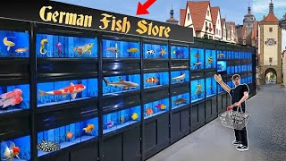 GERMANY EXOTIC FISH STORE TOUR [upl. by Auvil964]