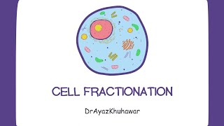 Cell Fractionation  Eukaryotes  Prokaryotes  PART02 [upl. by Dutchman]