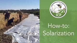 How to Use Solarization to Prepare Areas for Planting [upl. by Calesta]