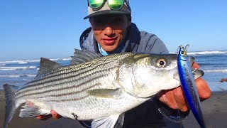 Early Season STRIPED BASS Surf Fishing with a NEW LURE [upl. by Plath]