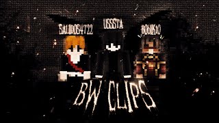 BW Clips feat Tassay usssta zwizzexx [upl. by Leynwad]