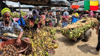 Cost of living in Benin 2024 My 20 shopping in the biggest market in Cotonou Benin West African [upl. by Soilisav]