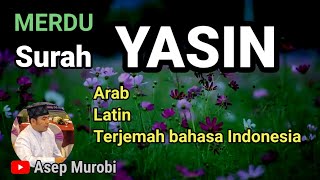 SURAT YASIN MERDU ARAB LATIN DAN TERJEMAH BAHASA INDONESIA [upl. by Feetal]