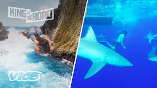 Swimming with Sharks amp Cliff Jumping in Hawaii  KING OF THE ROAD S2 E9 [upl. by Jair]