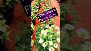 2024 Dasara Flower Show  Flower Plants arrive ❤️ [upl. by Sexton]