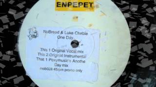 NuBreed amp Luke Chable  One Day Original Vocal Mix [upl. by Oremodlab571]