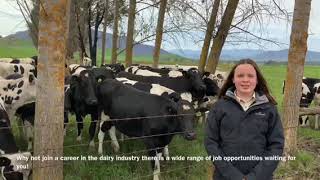 Corryong College  Cows Create Careers [upl. by Langston967]