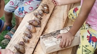 Maribeth Dimaculangan is live Snails 🐌 [upl. by Eimaral]