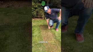 Transform Your Lawn  Ultimate Spring Renovation Guide [upl. by Lura]