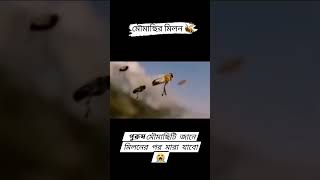 কি অদ্ভুত নিয়ম।🥹বইতে তো অনেক পড়েছো এবার স্বচক্ষে দেখো✅experiment trending [upl. by Aerdied]