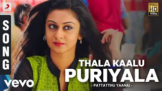 Pattatthu Yaanai  Thala Kaalu Puriyala Song  SS Thaman [upl. by Suter]