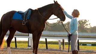 Secretariat Full Movie Facts amp Review in English  Diane Lane  John Malkovich [upl. by Llenehs48]