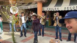 Banda los halcones apoyando a Euardin de mimbres para sus gastos médicos [upl. by Novat533]