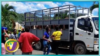 Praedial Larceny in Jamaica  What we Need to Know  TVJ Smile Jamaica [upl. by Daye]