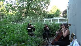 Marche militaire F Schubert Het Strijkkwartet string quartet version for your wedding [upl. by Aniad141]